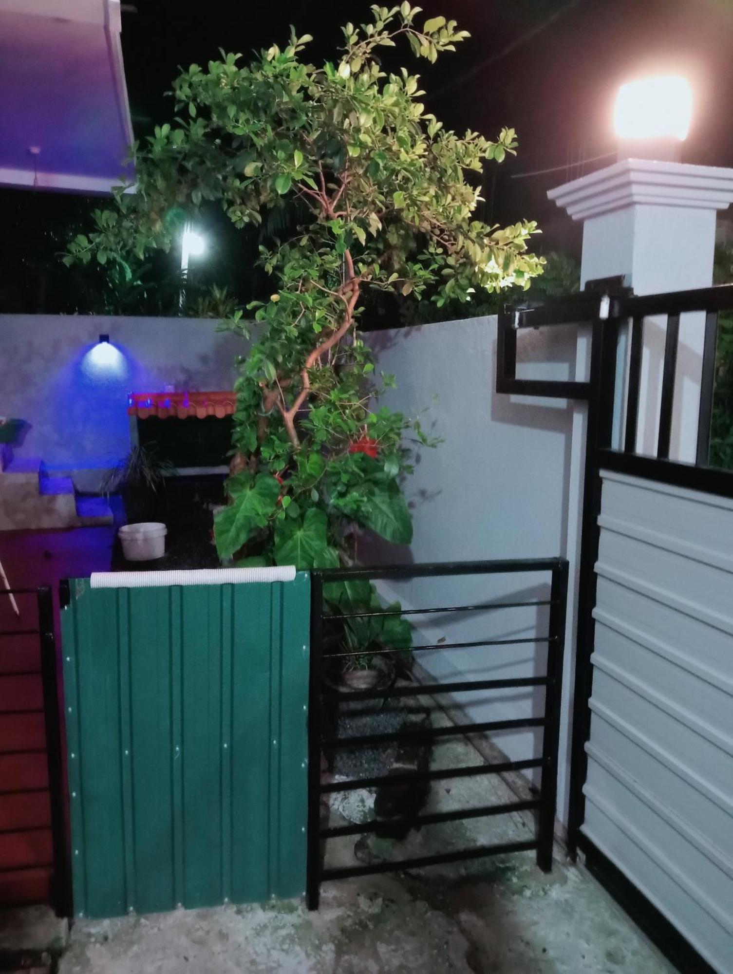 Great Yeheni Villa Hikkaduwa Exteriér fotografie